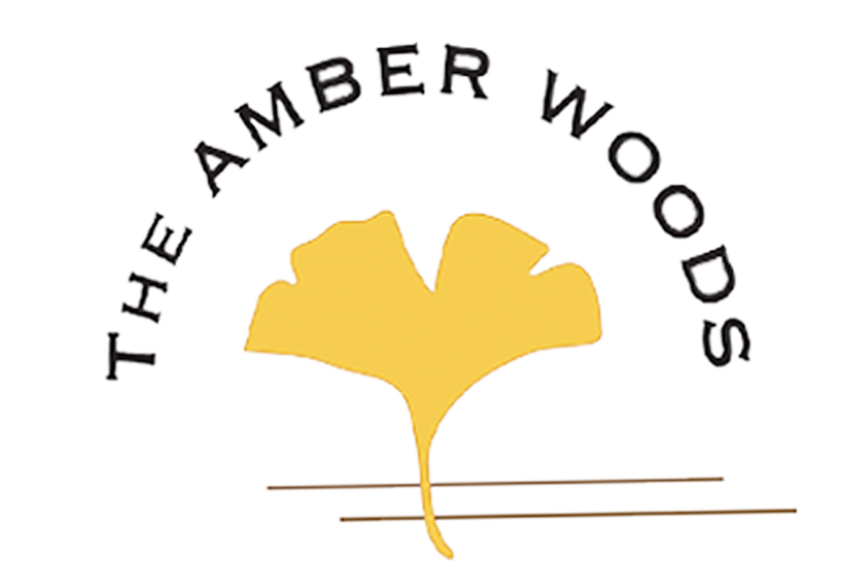 THE AMBER WOODS