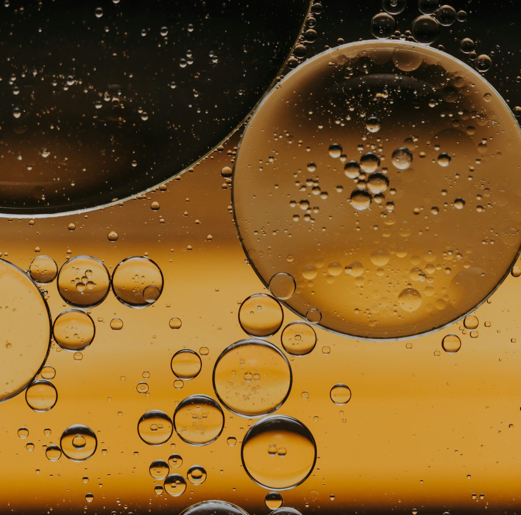 Oil