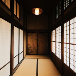 TATAMI